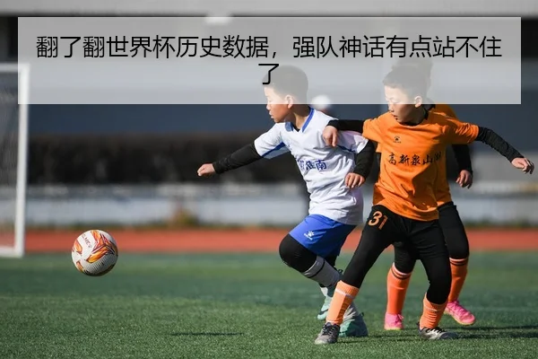 fan-le-fan-shi-jie-bei-li-shi-shu-ju-qiang-dui-shen-hua-you-dian-zhan-bu-zhu-le-2-294.jpg