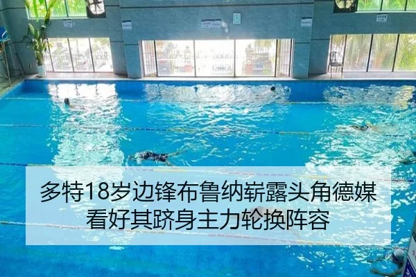 多特18岁边锋布鲁纳崭露头角德媒看好其跻身主力轮换阵容